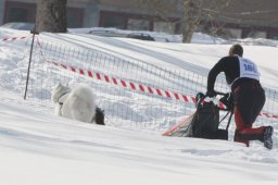 Lenk 2012 SM